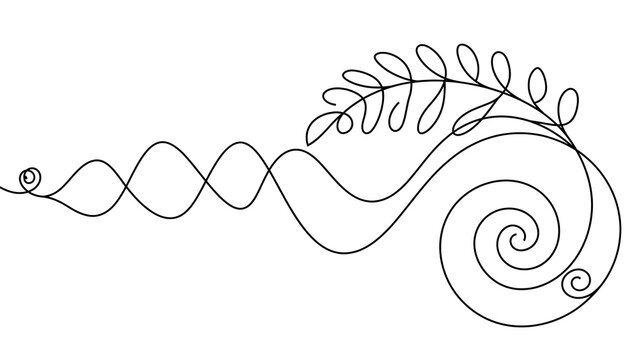 Elegant swirl leaf line art white background.