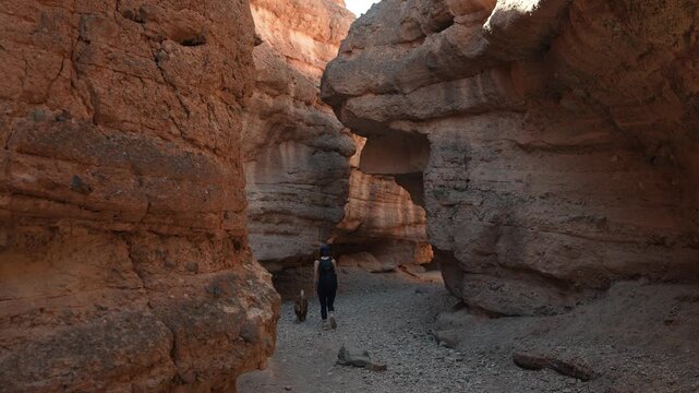 Woman With Dog on Leah Walking in Narrow Eroded Canyon, White Owl Canyon Train in Lake Mead, Nevada USA