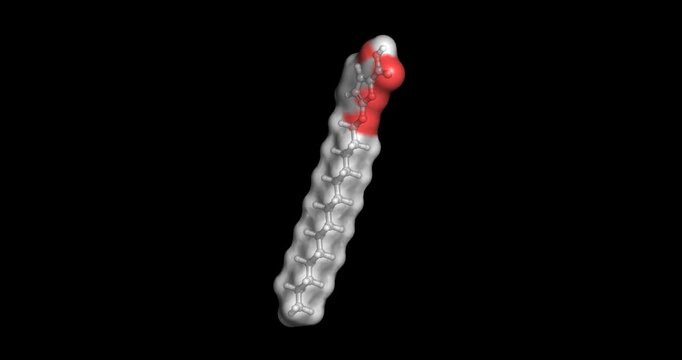 TOFA, fatty acid synthesis inhibitor, 3D molecule 4K spinning