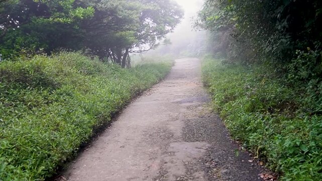 Misty Mountain Road in Thick Fog and Strong Wind, Beautiful Sri Lanka,landscape 4K Nature Video