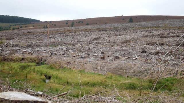 Clear cut forest landscape showing environmental deforestation aftermath with cut logs and tree stumps in rural mountainous area.