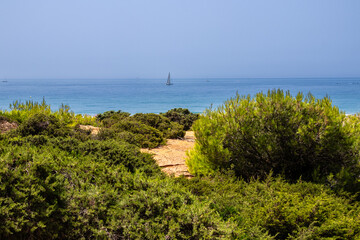 sand dunes in La Barrosa beach in Sancti Petri, Cadiz, Spain, in august 2026 © josevgluis