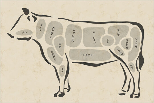クラフト紙風背景の牛肉部位カット図解イラスト