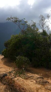 Stunning Sri Lankan Mountain Landscape View, Vertical 4K Nature Video