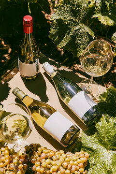 Wine bottles in sunshine with blank labels among grapevines and grapes shot from above