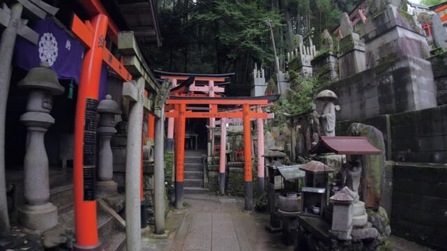 Walking through rows of red torii gates at a forested Kyoto shrine pathway
