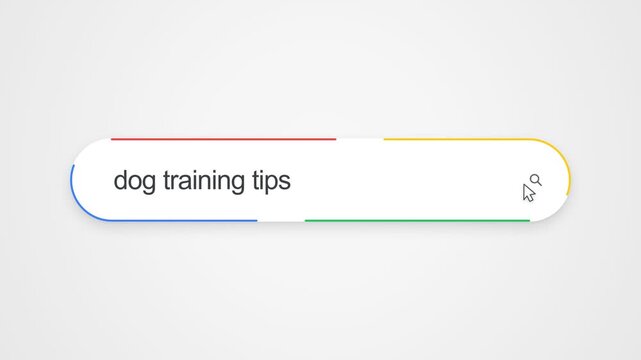 Close-up view of typing "dog training tips" into an online search bar, illustrating pet care research and training guidance