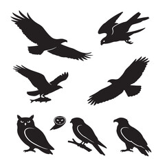 Fototapeta premium silhouettes of birds