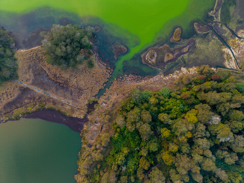Aerial view of Telaga Warna Dieng with its vibrant turquoise volcanic lake surrounded by dense green forest and natural shoreline in Indonesia.