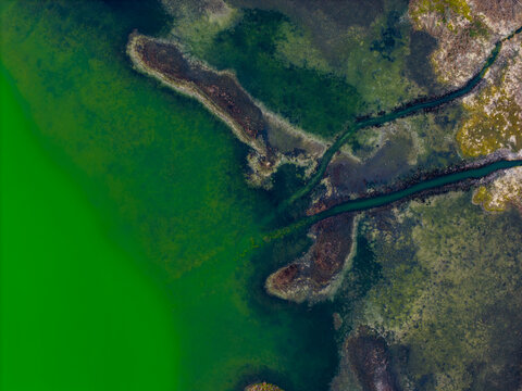Aerial view of Telaga Warna Dieng featuring vibrant green water, intricate marshy textures, and dark water channels in Indonesia.