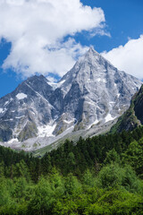 Naklejka premium Landscape of the four girls mountain range and greenery forest in Chengdu, China