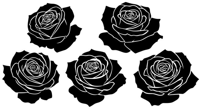 Vector illustration set featuring a collection of five blooming flowers in various colors and shapes, including detailed petals and green leaves, isolated on white background.