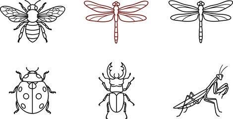 Naklejka premium Insects and garden bugs line icon set featuring bee dragonfly ladybug stag beetle and praying mantis