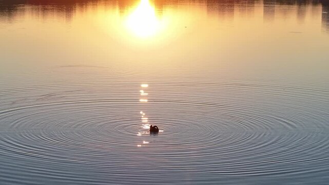 sunset reflection on rippling water surface