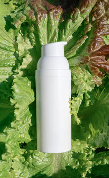 Minimalist white cosmetic bottle with pump, surrounded by fresh green lettuce leaves. Natural skincare, plant-based beauty, clean cosmetics, plant-based ingredients