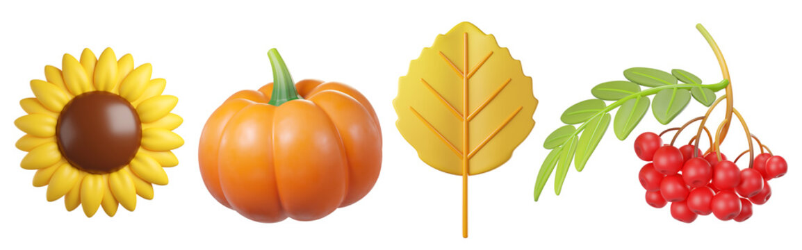 Autumn harvest 3d icon isolated. Sunflower, pumpkin, yellow leaf, and red berries. Vibrant autumn still-life for decor, thanksgiving, recipes, or marketing. 3d render
