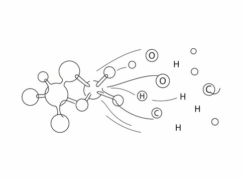 Clean minimalist line illustration depicting a complex molecule undergoing precise chemical breakdown, releasing carbon, oxygen, and hydrogen atoms for various scientific and learning applications.