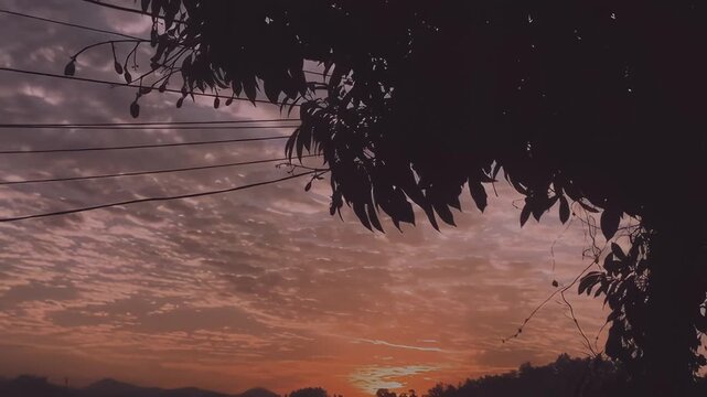 Silhouetted tree branches and power lines against a vibrant orange sunset sky over distant mountains