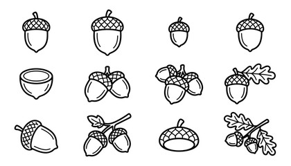 Autumn acorn and oak leaf outline icon collection for seasonal nature design © Afjal12