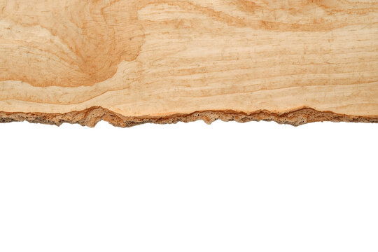 Natural wood plank strip with rough live edge
