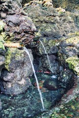 Close up photograph of sacred natural spring water pouring from bamboo spouts in a rocky cave shrine at Tanah Lot, Bali, Indonesia. Ideal for travel editorial, spiritual themes, and culture. © Arlina Elsiska