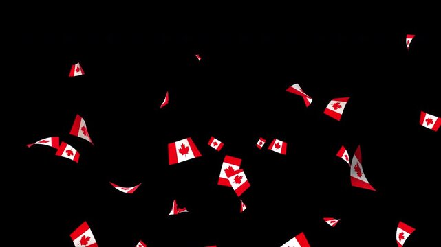 Canada flag confetti falling on transparent background