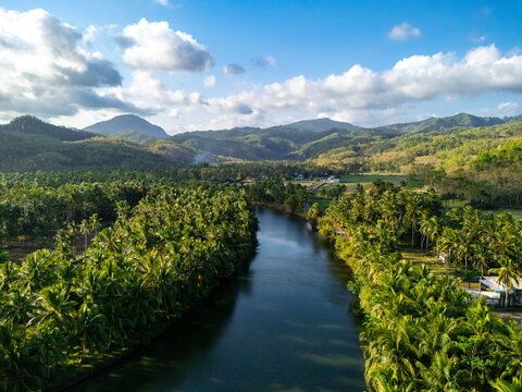 Aerial view of a river winding through a dense palm tree forest with rolling mountains in the background under a bright sky in Pacitan, East Java, Indonesia.