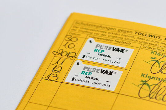 Germany - August 2nd 2025: Close up of PureVay RCP Merial vaccine sticker in cat passport. Veterinary vaccination record detail