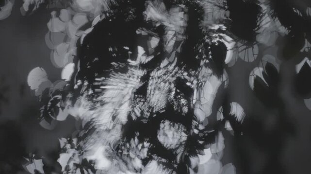 An abstract high contrast pattern shows light filtering through rippling foliage and water.