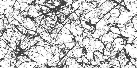Fototapeta premium Intricate dark tree branches against a clean white background with a graphic abstract texture