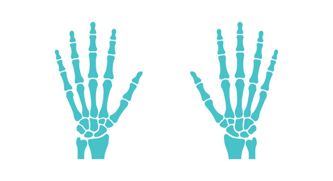 Human hand skeletons teal vector illustration on white background