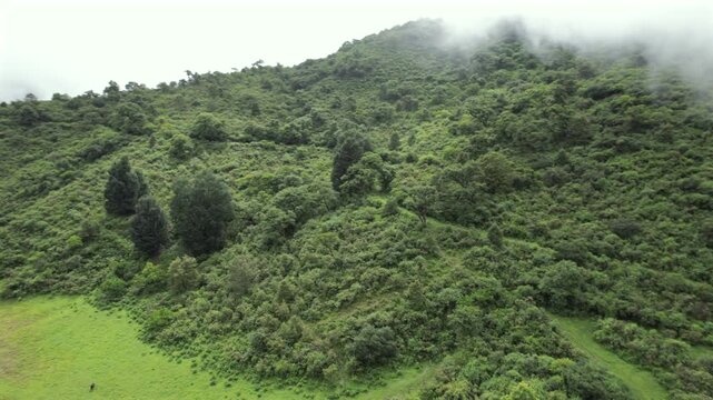 4K drone aerial view of Yala Provincial Park in Jujuy, Argentina. Misty mountain lakes surrounded by lush Yungas forests and dense green vegetation in a spectacular Andean landscape.