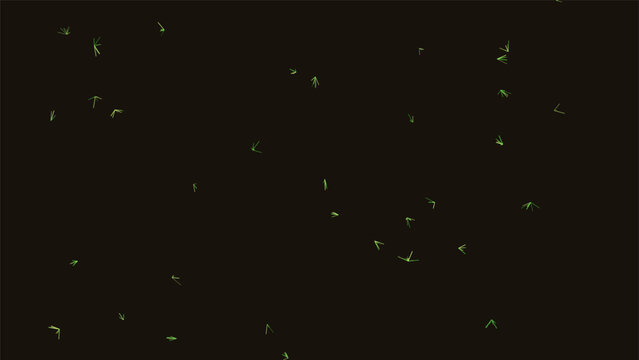 Glowing green fireflies on black background, bioluminescent insect swarm vector, magical night light effect for fantasy design