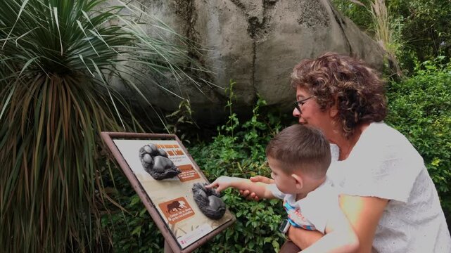 A grandmother holds her two-year-old grandson as they touch and explore a simulated lion footprint exhibit during their visit to the zoo.