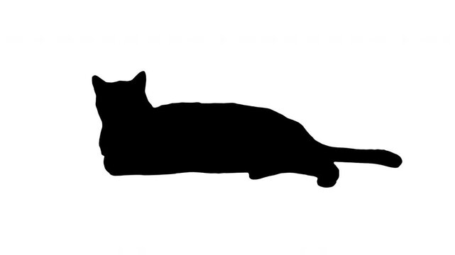 Silhouette cat lying down on white background. Black and white for compositing and presentation. Alpha matte isolated.