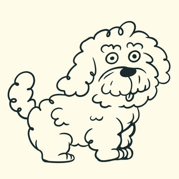 Cute cartoon small fluffy bichon frise dog standing, black line art vector illustration isolated on background.