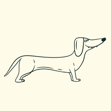 Cute cartoon long Dachshund dog standing in profile, black line art vector illustration isolated on background. Funny stylized wiener dog puppy with long body and floppy ears.