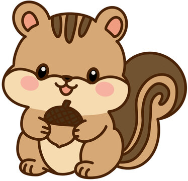 squirrel