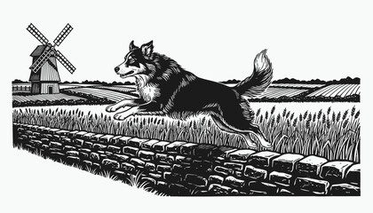 Naklejka premium Herding dog jumping over stone wall in rural farm field near windmill