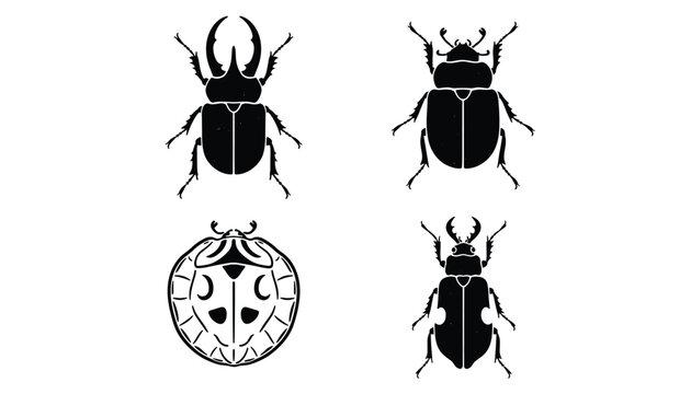 Set of four distinct beetle illustrations including stag beetle and ladybug