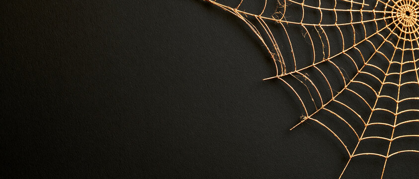 Spider Web Corner Dark Black Background Halloween Horizontal Banner