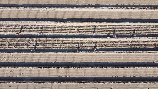 Aerial view of workers walking through rows of drying bricks at a brick field in Dhaka, Bangladesh.