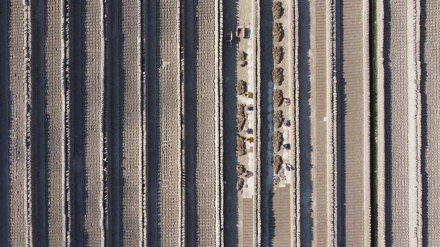 Aerial view of a brick field with rows of drying bricks and workers moving between them in Dhaka, Bangladesh.
