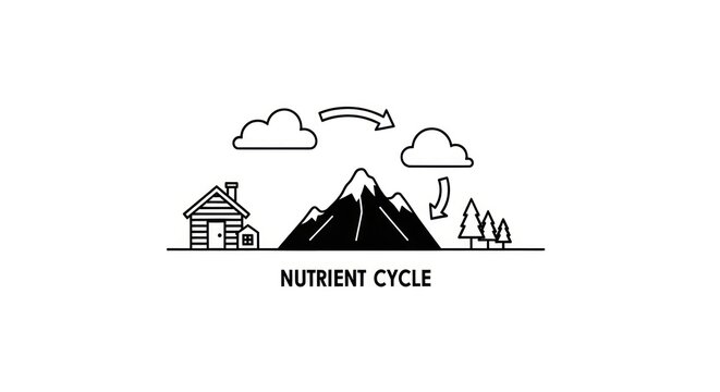 Nutrient Cycle Environmental Process Diagram.