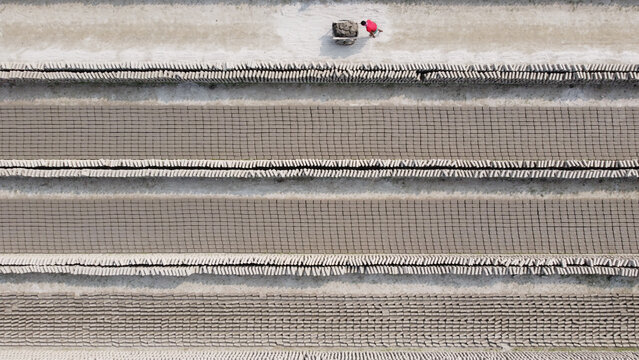 Aerial view of Brick Field with rows of drying clay bricks and a worker in a red shirt pushing a cart in Dhaka, Bangladesh.