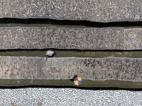 Aerial view of dry fish processing with workers walking among bamboo mats covered in drying fish under bright sunlight in Cox's Bazar, Chittagong Division, Bangladesh.