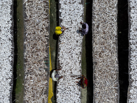 Aerial view of workers drying fish on bamboo racks under the sun in Cox's Bazar, Chittagong Division, Bangladesh.