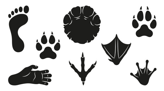 Diverse collection of black animal and human footprint silhouettes isolated on a clean white background
