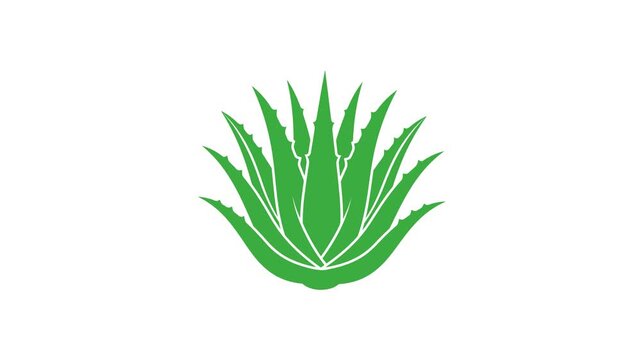 Green Aloe Vera Plant Minimal Vector Icon Seamless Loop Animation on White Background Representing Natural Skincare Concept
