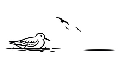 Birds flying over water landscape. © Slowme
